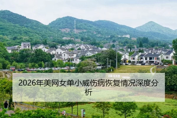 nian-mei-wang-nv-dan-xiao-wei-shang-bing-hui-fu-qing-kuang-shen-du-fen-xi-2-709.jpg