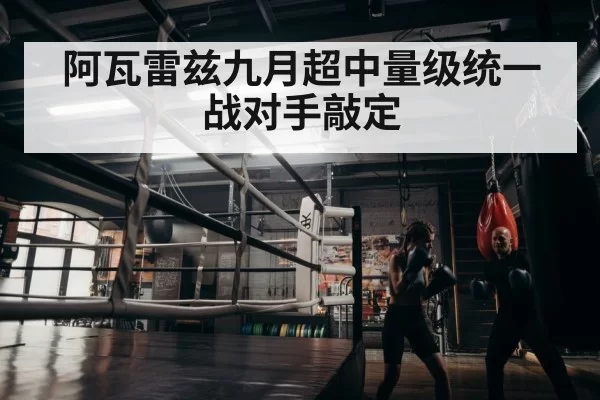 boxer training