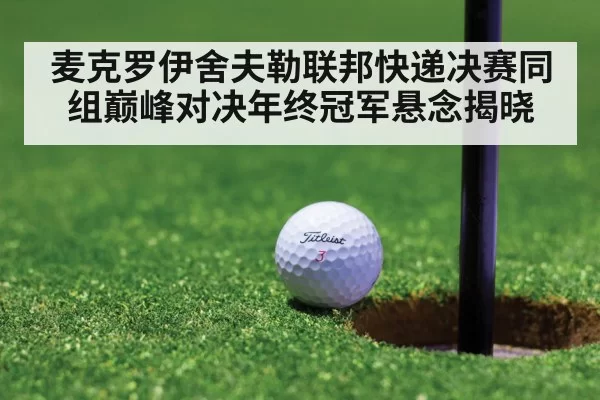 麦克罗伊舍夫勒联邦快递决赛同组巅峰对决年终冠军悬念揭晓